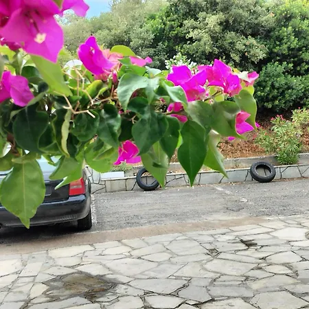 Apartment Althea One - Sithonia Chalkidiki 250m From The *