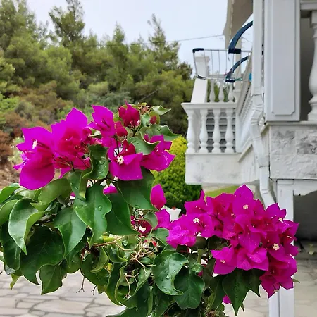 Apartment Althea One - Lux Private House Akti Salonikiou