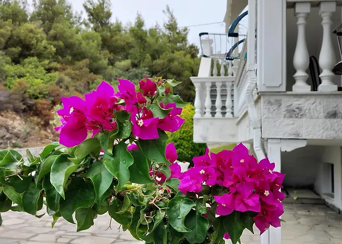 Apartment Althea One - Sithonia Chalkidiki 250m From The Akti Salonikiou