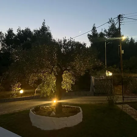 Althea One - Sithonia Chalkidiki 250m From The Akti Salonikiou